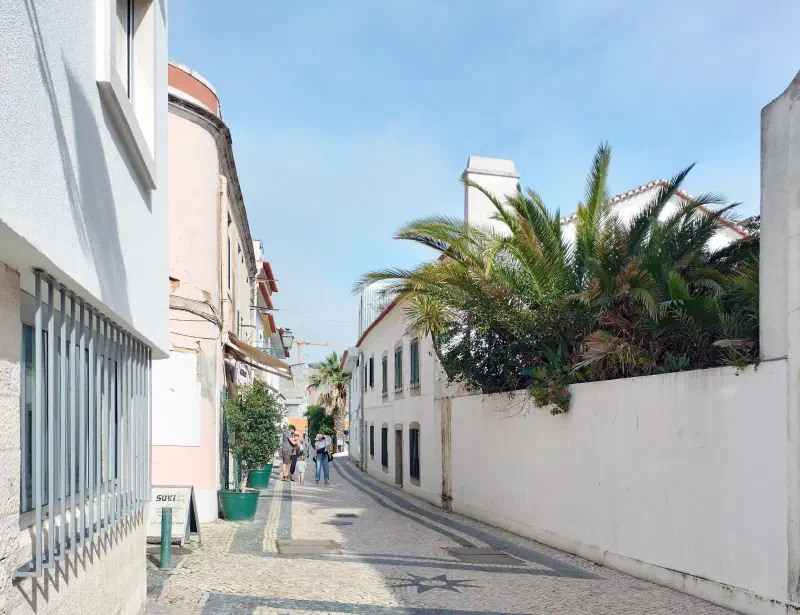A sunlit cobbled lane in Cascais with white buildings and palm trees